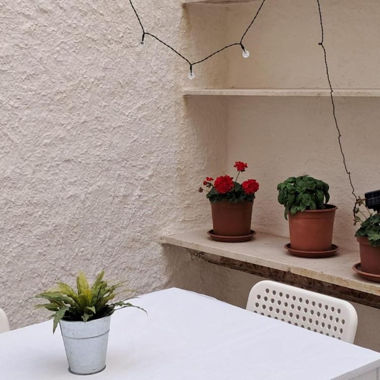Nonna Jaca Apartment - One-Bedroom House - 7