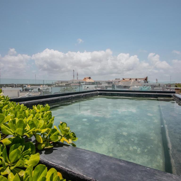 Depto de lujo con plunge pool privada - Apartamento de 1 dormitorio - 18