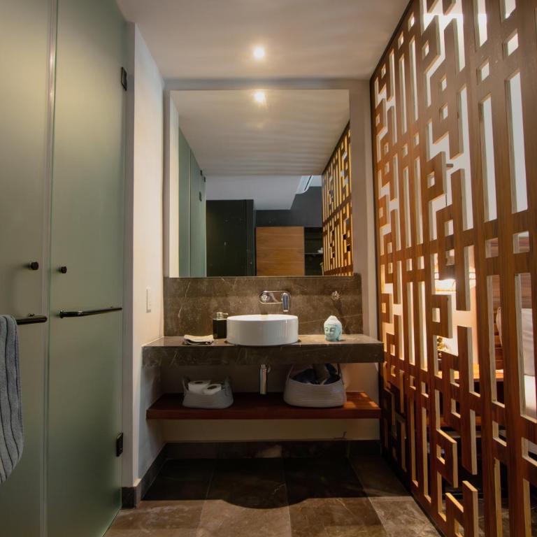 Depto de lujo con plunge pool privada - Apartamento de 1 dormitorio - 15