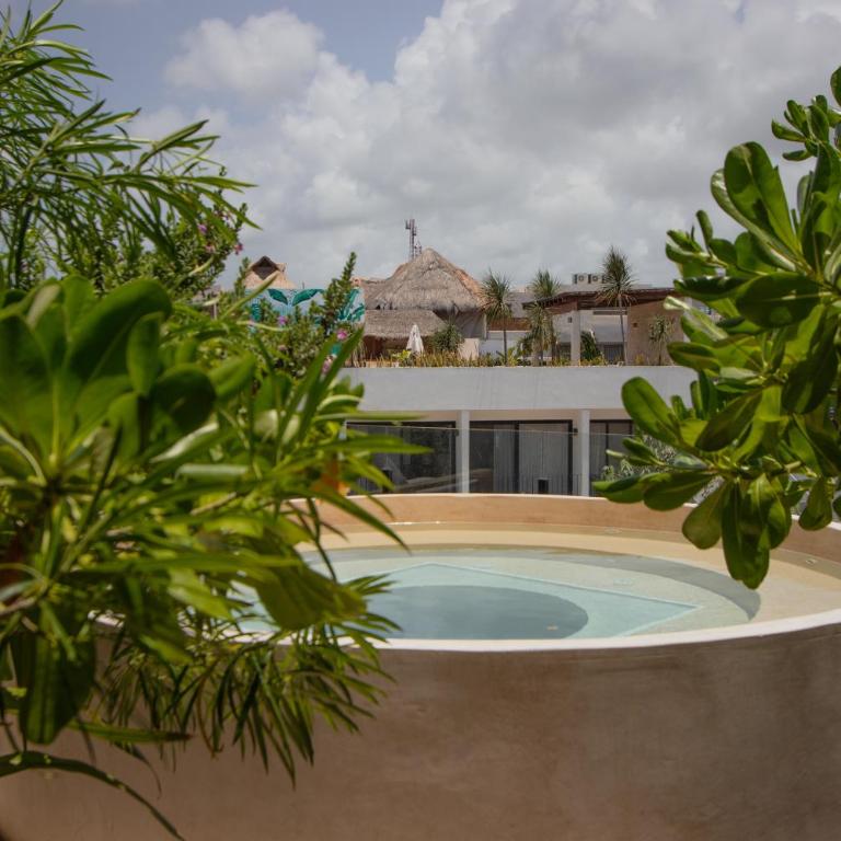 Depto de lujo con plunge pool privada - Apartamento de 1 dormitorio - 28