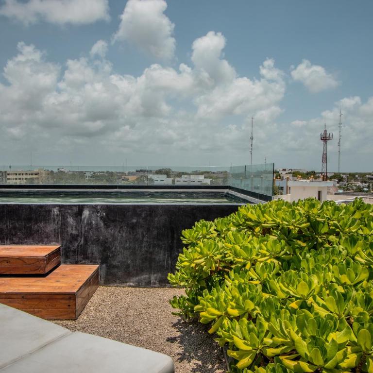 Depto de lujo con plunge pool privada - Apartamento de 1 dormitorio - 27