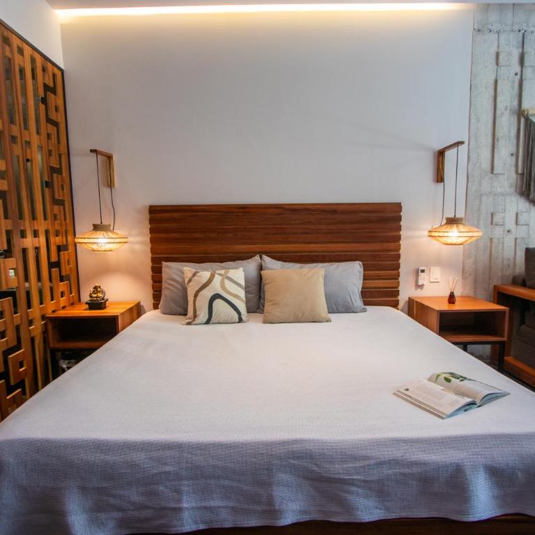 Depto de lujo con plunge pool privada - Apartamento de 1 dormitorio - 26