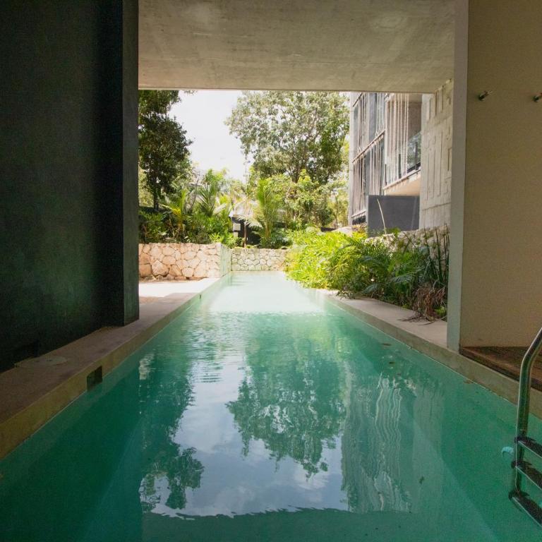 Depto de lujo con plunge pool privada - Apartamento de 1 dormitorio - 1