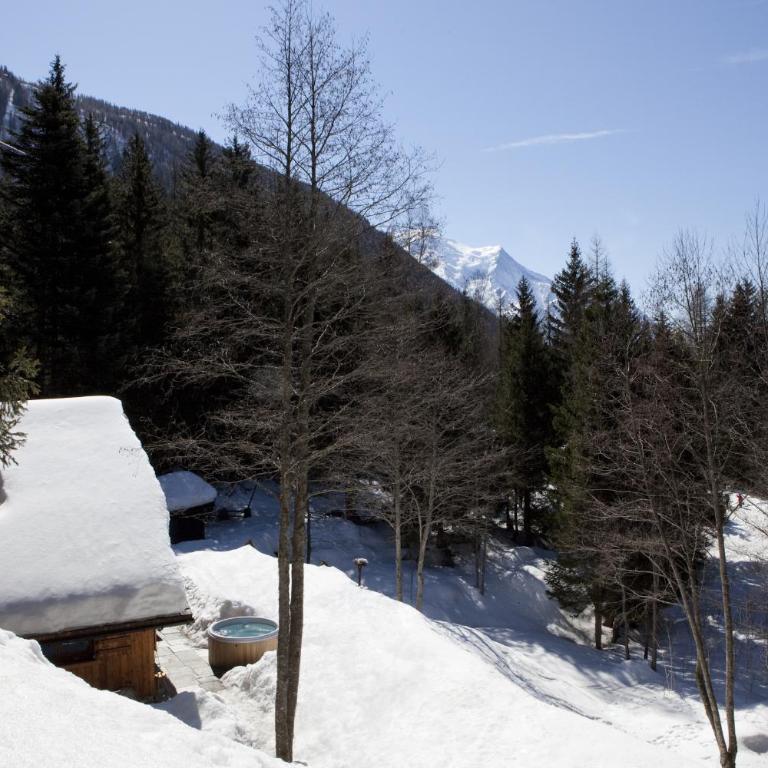 Marmotte Mountain Retreat - Chalet - 25