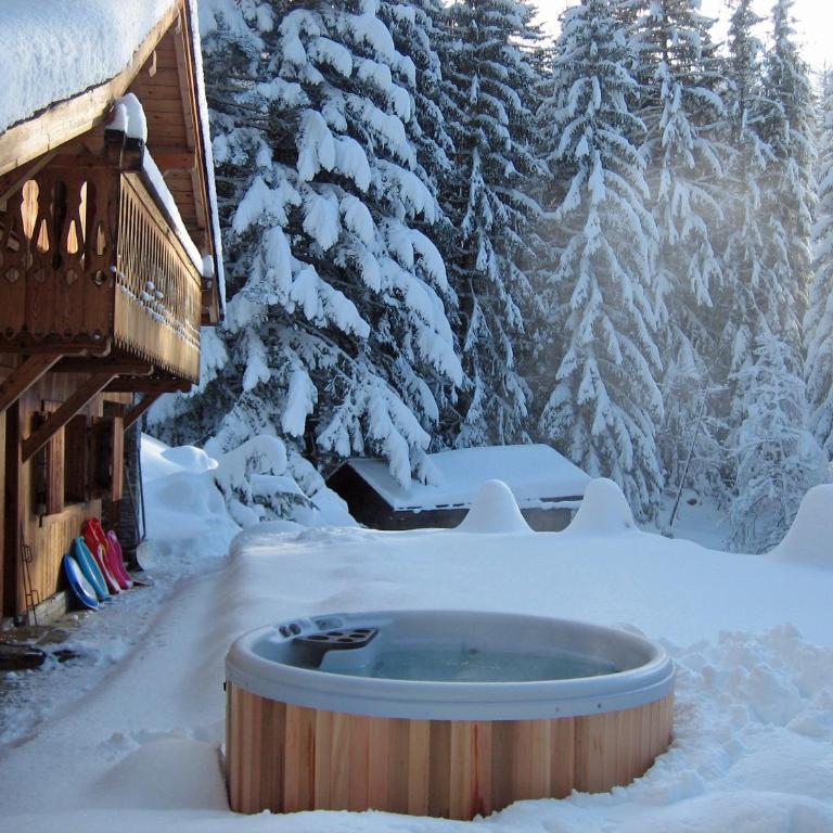 Marmotte Mountain Retreat - Chalet - 14