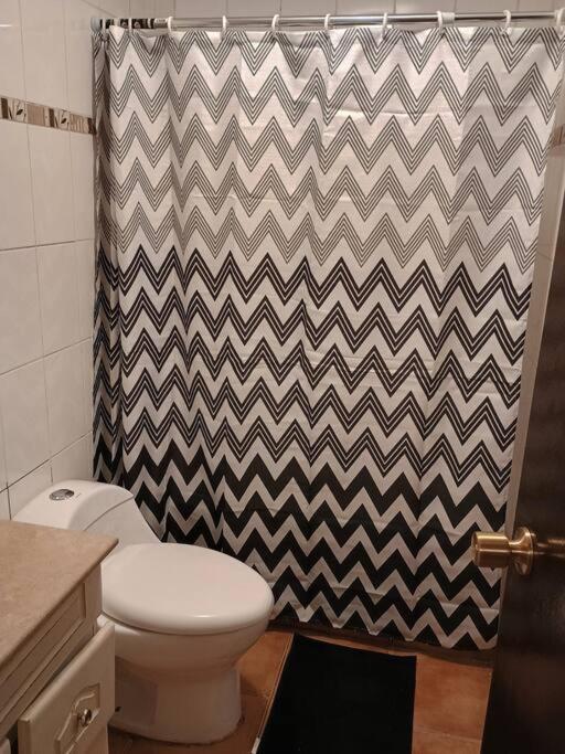 Hermosa casa central en Chillán - Apartamento de 1 dormitorio - 5