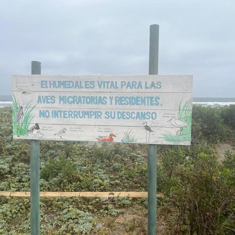 Departamento Laguna del Mar Tipo Mariposa Aves del Humedal - Apartamento de 2 dormitorios - 28
