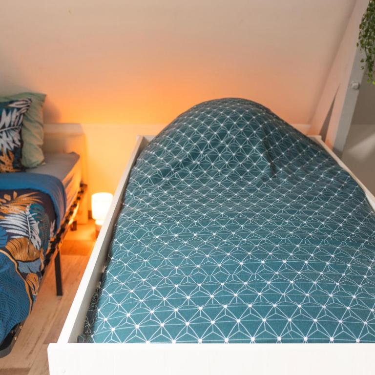 CENTRAL 55m2 - 4 PERSONNES - COSY - PROCHE NAUSICAA - One-Bedroom Apartment - 5