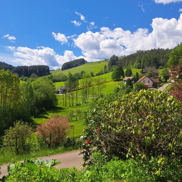 Baumgartner - Bauernhaus - Casa Vacanze - 13