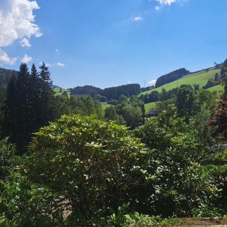 Baumgartner - Bauernhaus - Casa Vacanze - 18