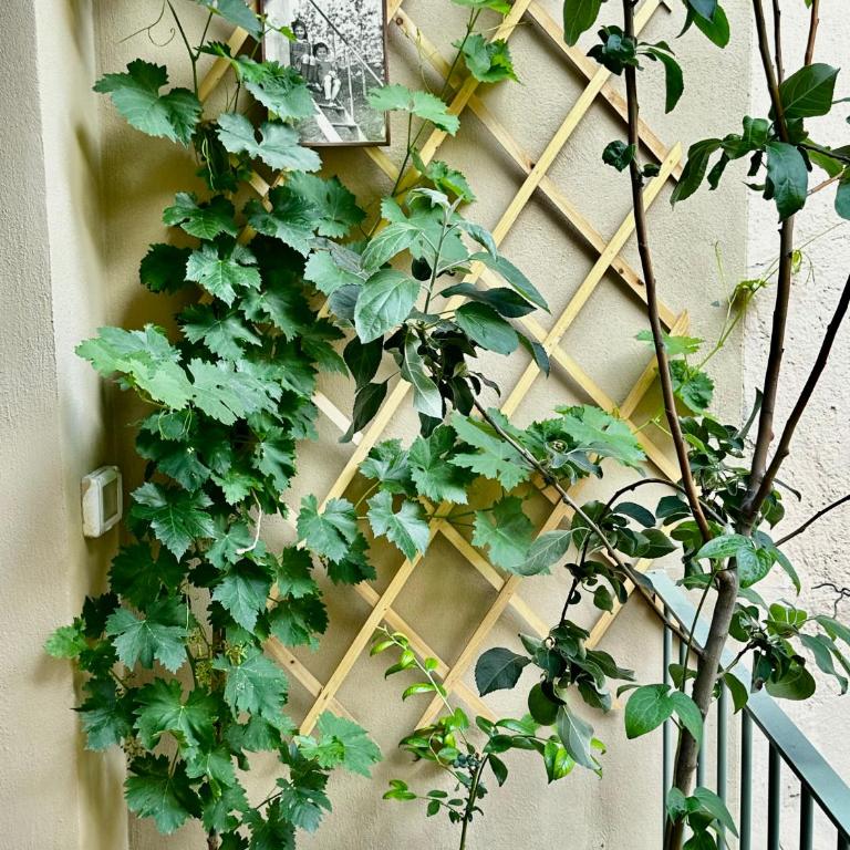 Il balconcino del centro storico - One-Bedroom Apartment - 33