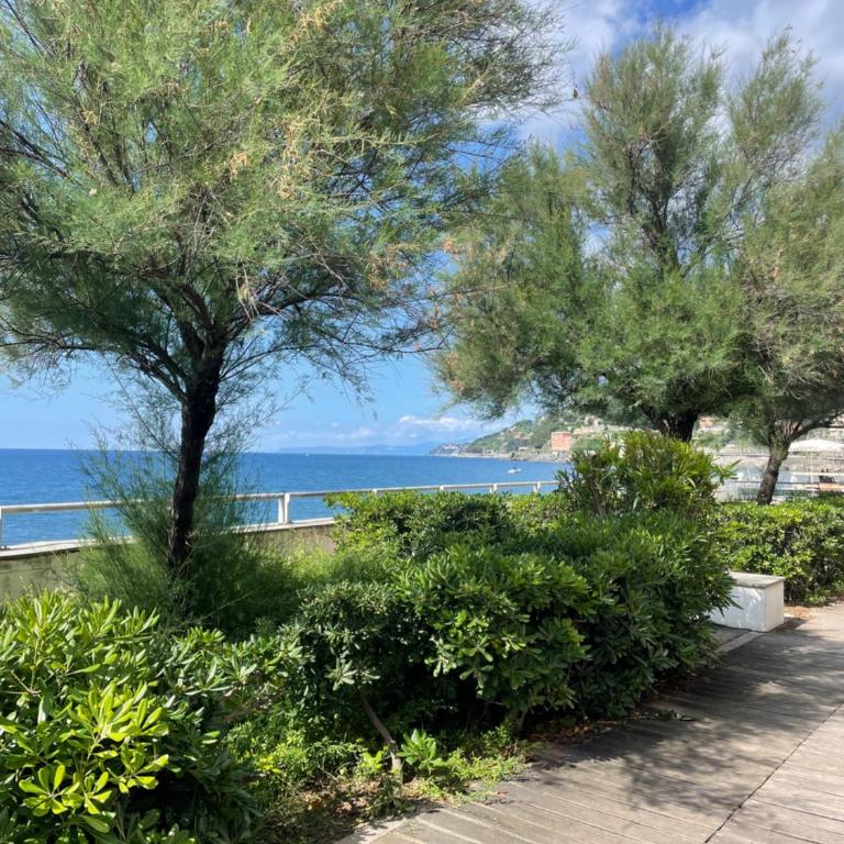Appartamento Sea La Vie - Appartamento con 1 Camera da Letto - 15