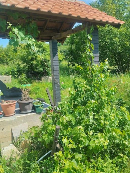 Villa Salter - One-Bedroom House - 13