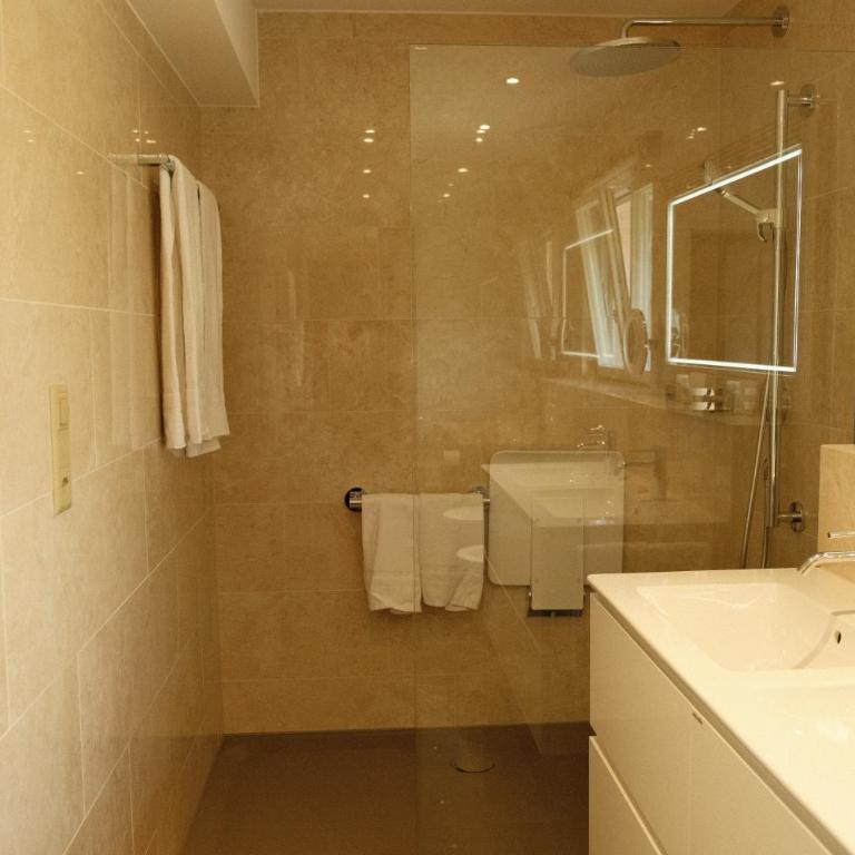 Hotel Luzernerhof - Apartment mit Terrasse - 4