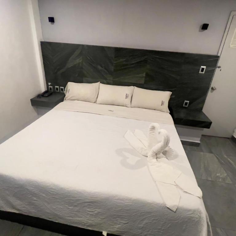 Hotel Aquario - Standard Single Room - 1