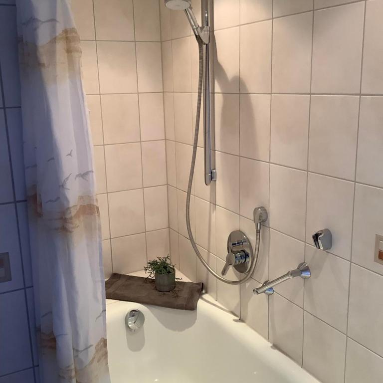Der Sonnenhof - Ferienwohnungen - Appartamento con 1 Camera da letto con doccia - 10