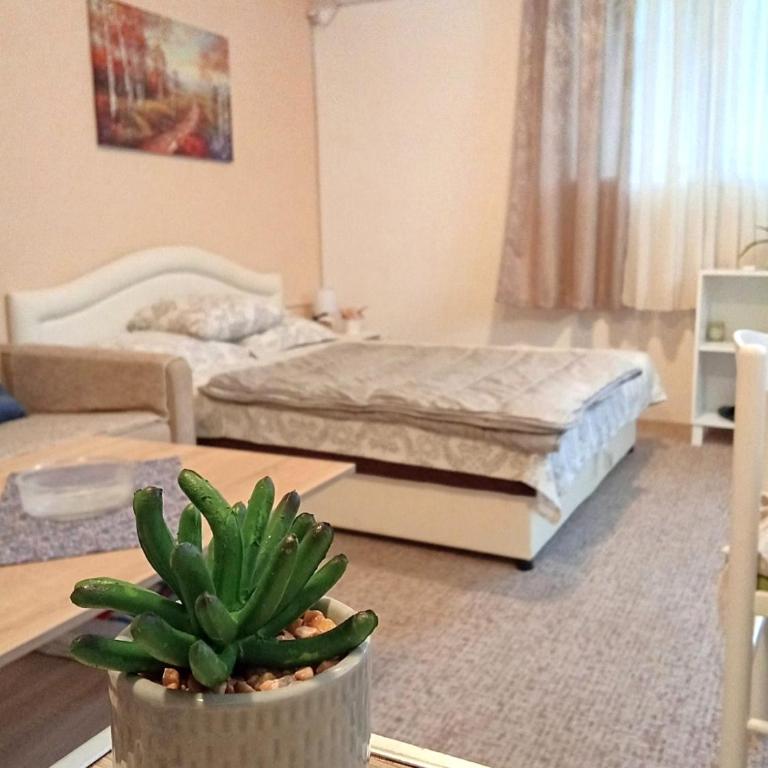 Hajdi apartman - Studio Apartman - 6