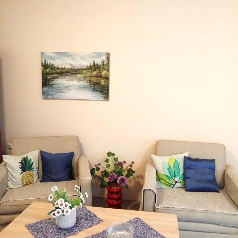 Hajdi apartman - Studio Apartman - 9