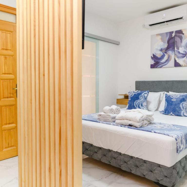 SPA apartman Tomin adults only - Apartman sa 1 Spavaćom Sobom - 5