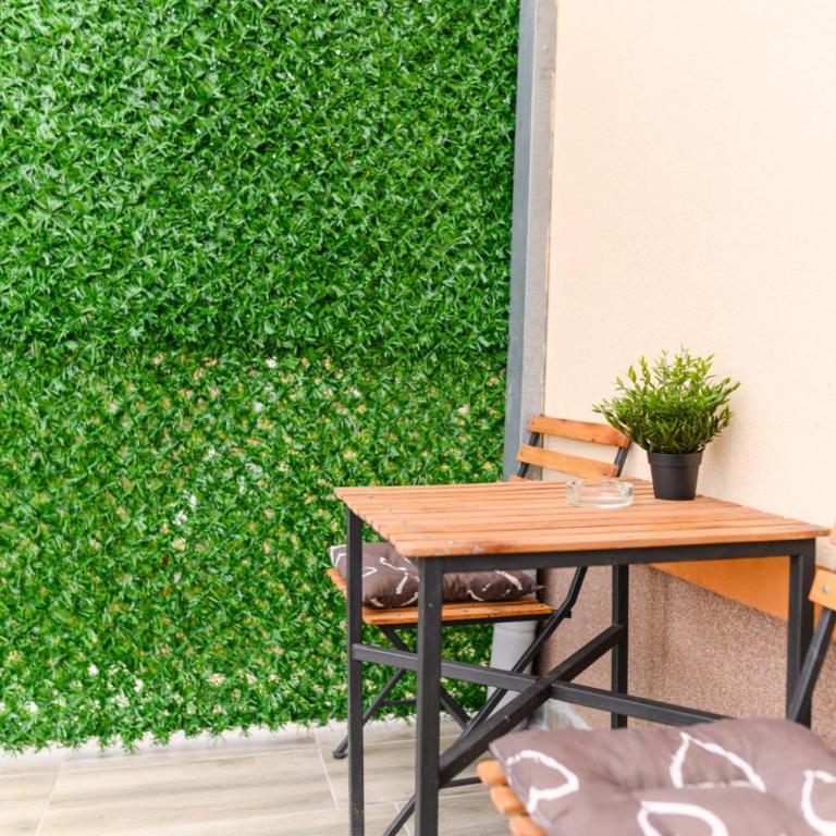 SPA apartman Tomin adults only - Apartman sa 1 Spavaćom Sobom - 21