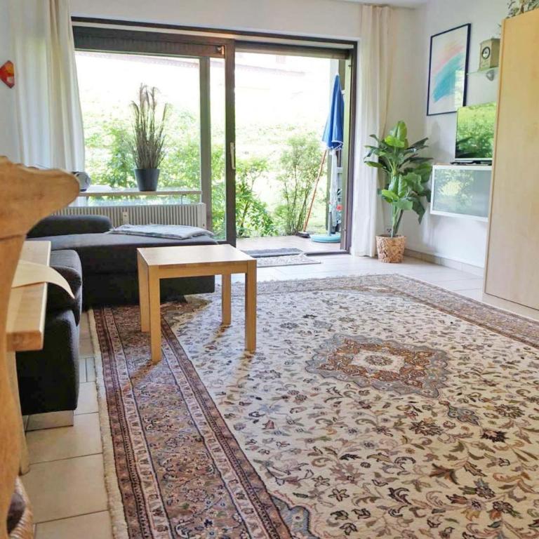 Der Sonnenhof - Ferienwohnungen - Appartamento con Terrazza - 12
