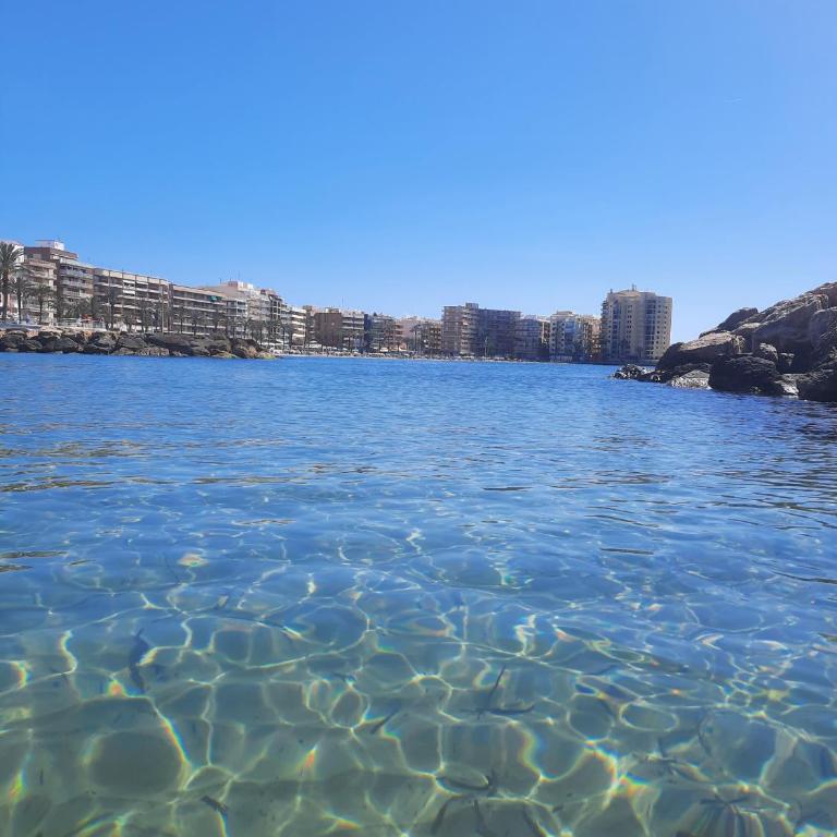 Apolo ID193 - Apartamento de 2 dormitorios - 30