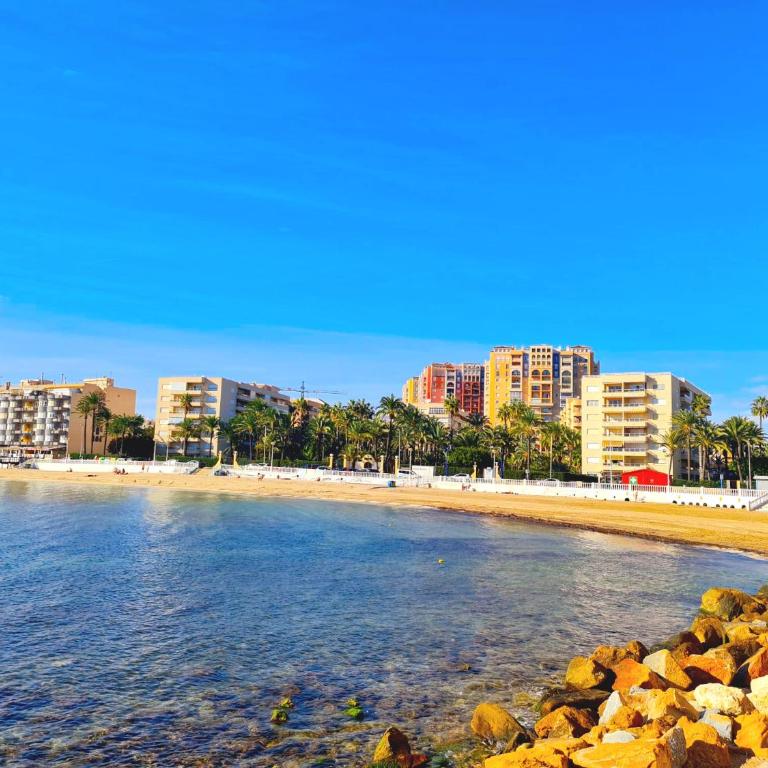 APARTAMENT BERGANTIN 30 Torrevieja - One-Bedroom Apartment - 17