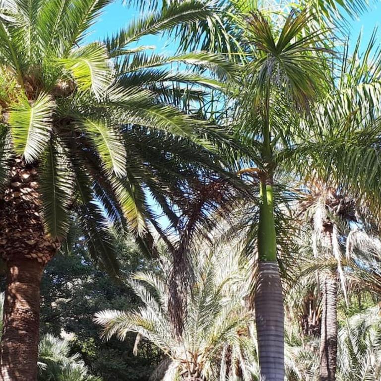Loft studio Malaga gare de trains et plage - Apartamento de 1 dormitorio - 26