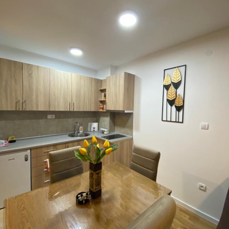 Rtanj - One-Bedroom Apartment with Terrace - 4