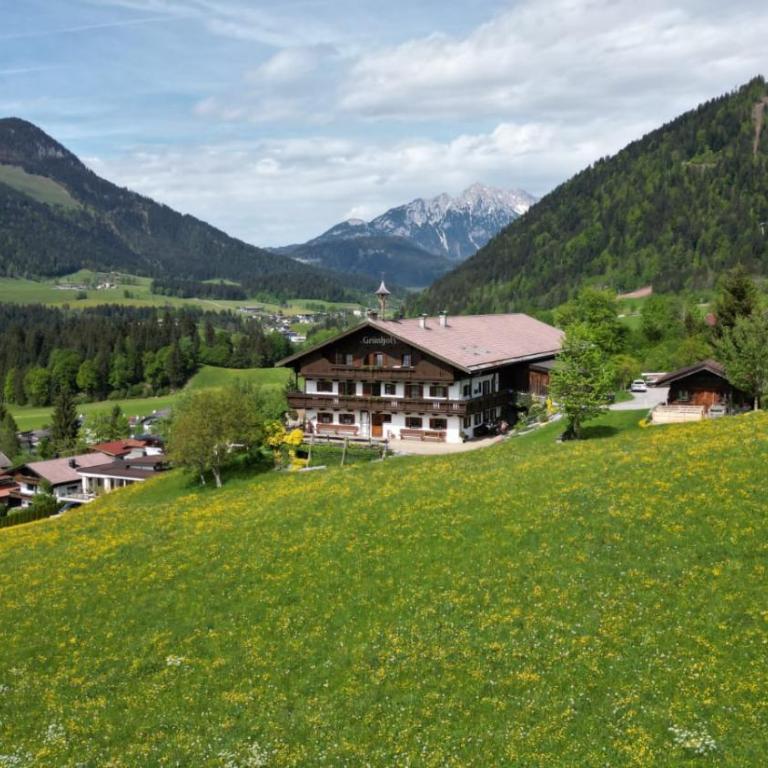 Appartements Grünholz - Appartamento con 3 Camere da Letto e Vista Montagna - 1