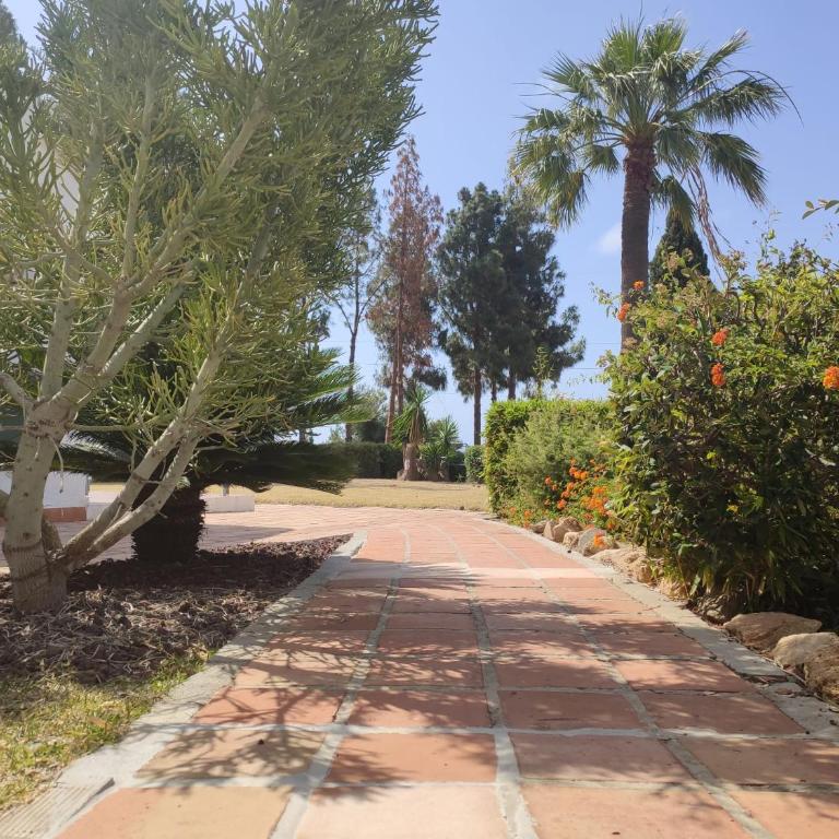 2 Bedrooms Sea View Apartment in Calahonda - Apartamento de 2 dormitorios con vistas al mar - 45