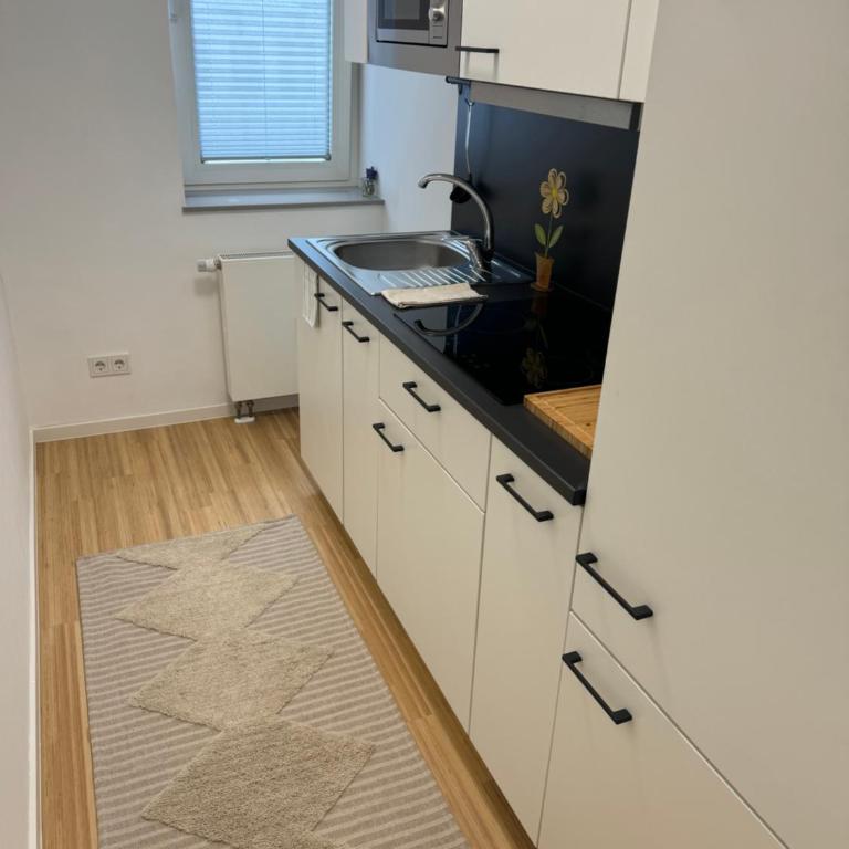 City Apartment Würzburg near Uniklinik with private Parking - Apartment mit 1 Schlafzimmer - 4