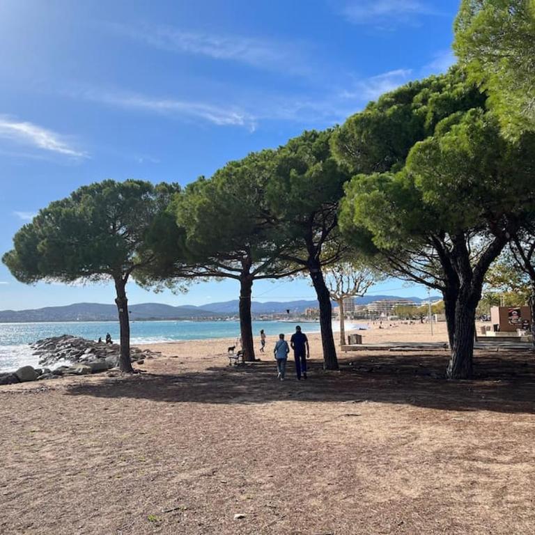 Beautiful place, quiet residence, close to beaches - Apartamento de 1 dormitorio - 15