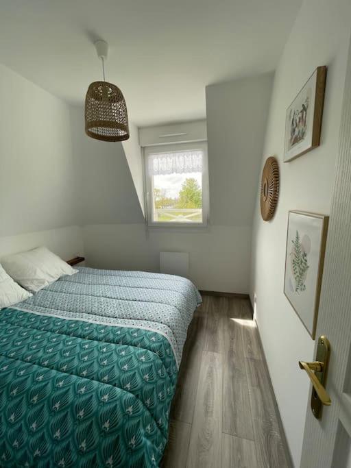 Les Belles Rives T2 avec balcon ensoleillé - Appartamento con 1 Camera da Letto - 5