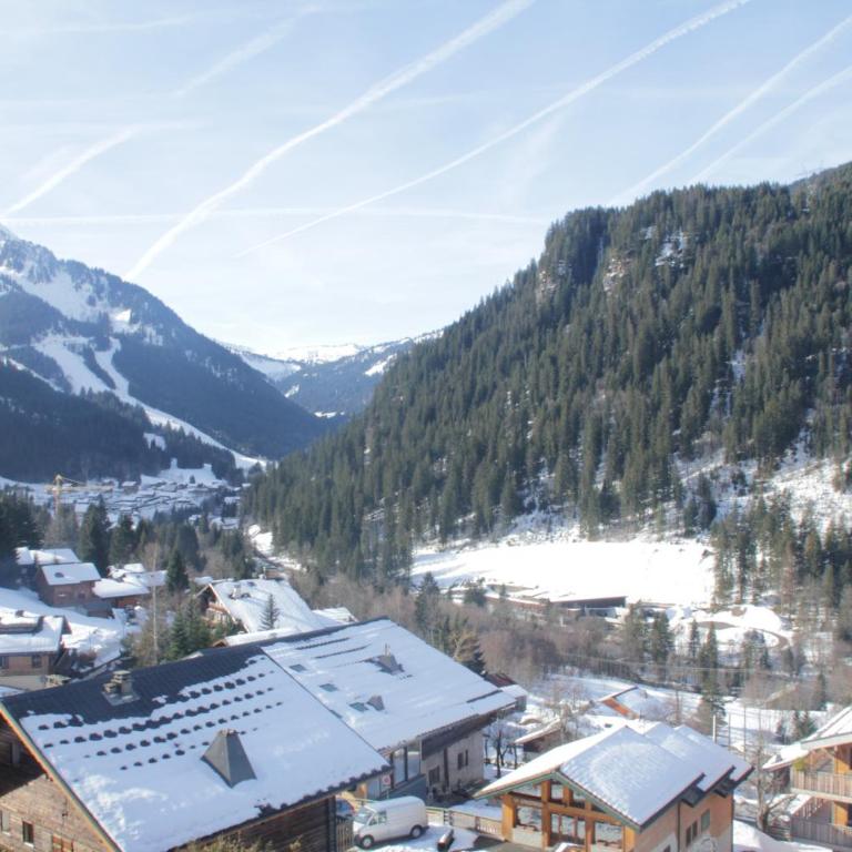 Castel des Neiges CSA4 CENTRE & VIEW 6 Pers - Appartement avec Balcon - 13