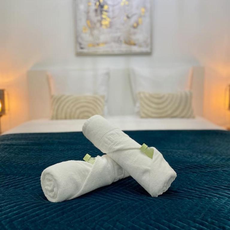 ''Lotus'' Superbe T2 centre ville climatisé - Wifi - Apartment mit 1 Schlafzimmer - 7