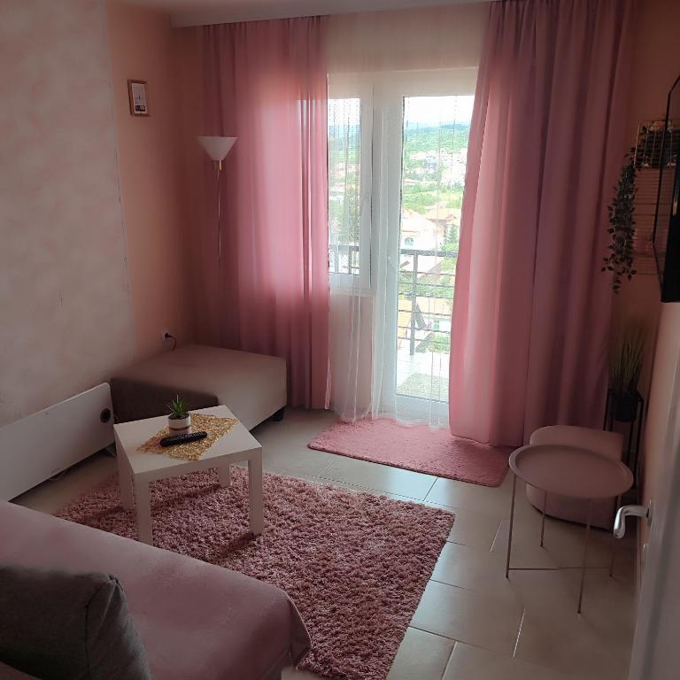 Sokobanja na dlanu - Two-Bedroom Apartment - 13