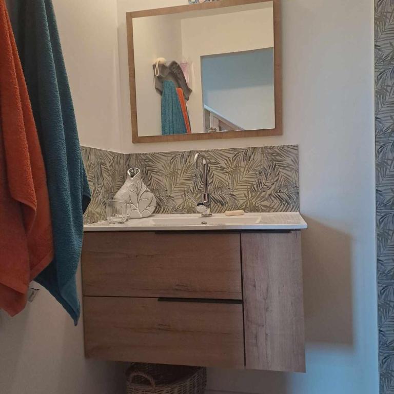 Maison d'hôtes des Bassins d'Oche - Appartement 1 Chambre avec Terrasse - 14