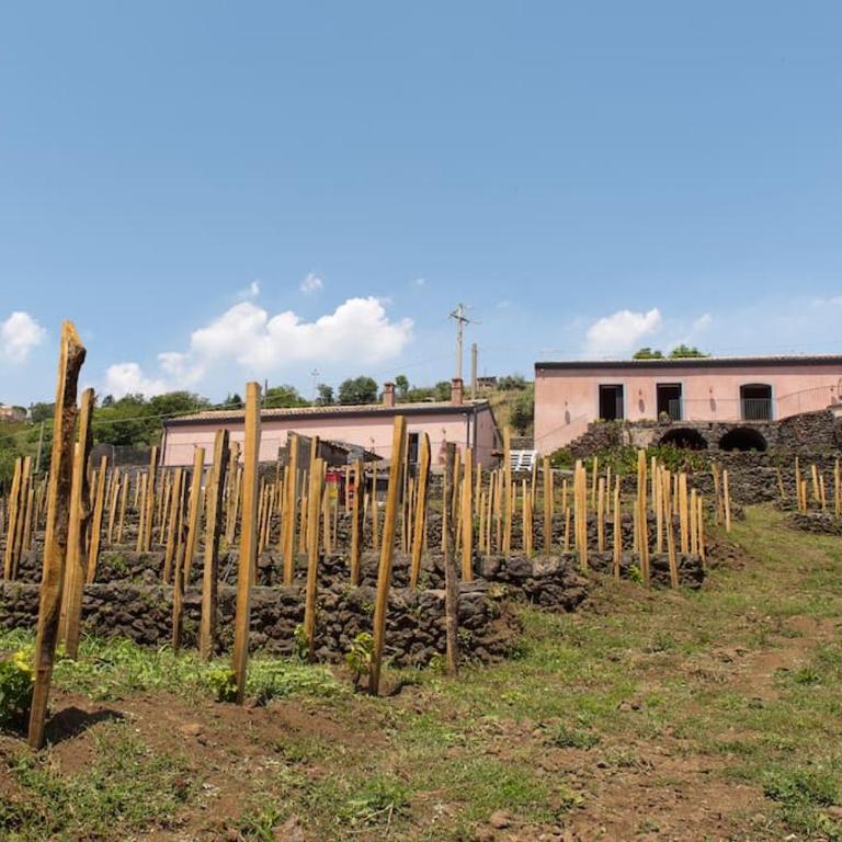 Tenuta Costa Sovere - Casa con 1 Camera da Letto - 20