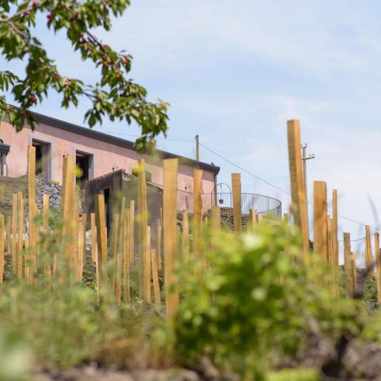 Tenuta Costa Sovere - Casa con 1 Camera da Letto - 27