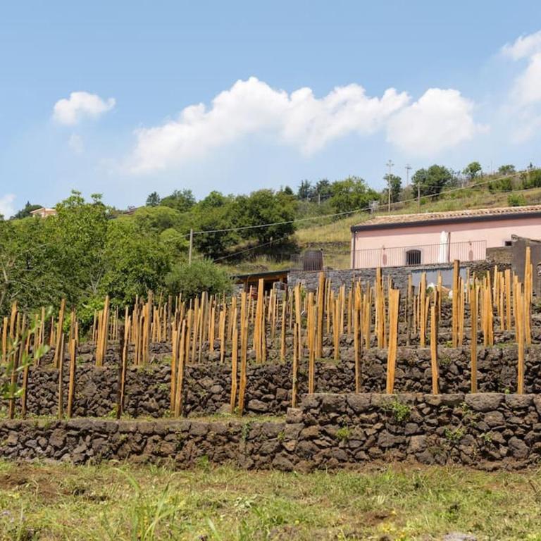 Tenuta Costa Sovere - Casa con 1 Camera da Letto - 28