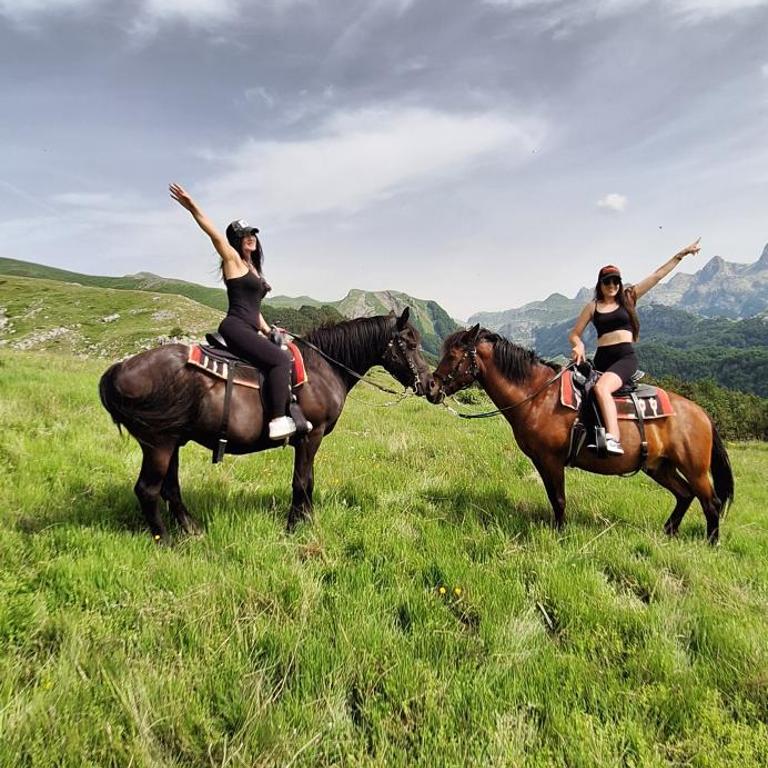 Katun Mokra accommodation & horseback riding - Two-Bedroom Chalet - 19