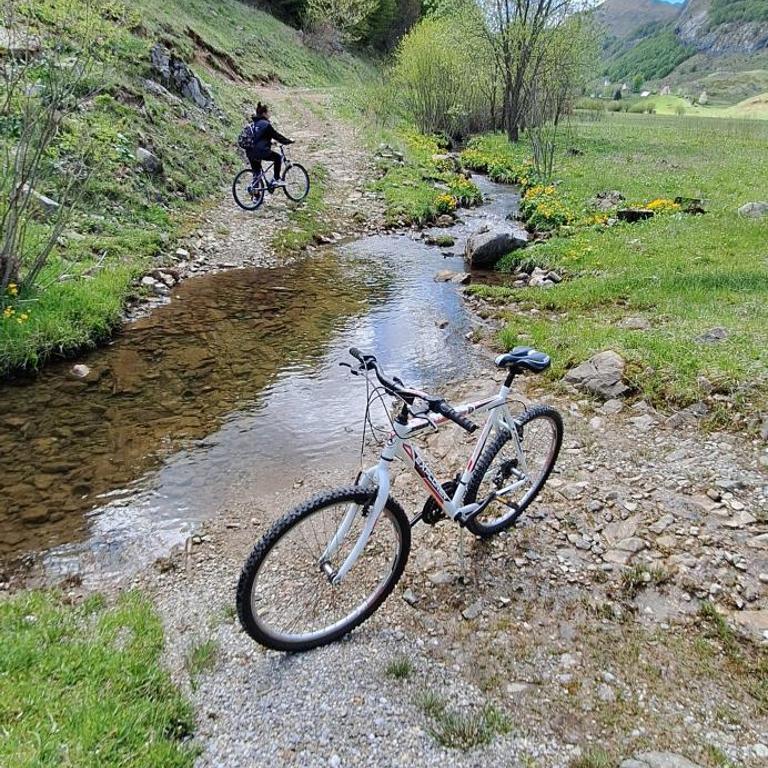 Katun Mokra accommodation & horseback riding - Two-Bedroom Chalet - 23