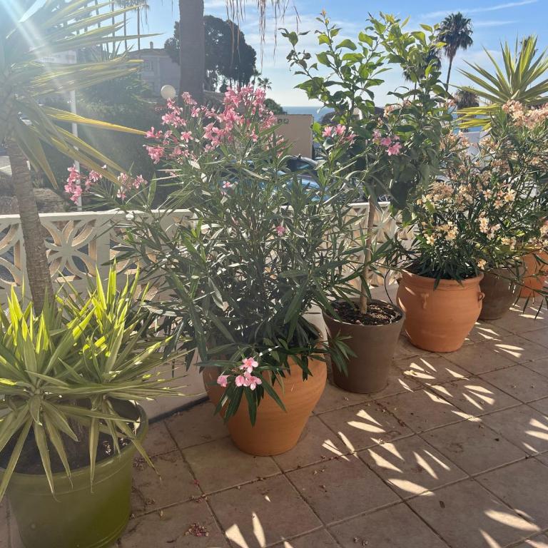 Wyndham Resort 4 Bed House - Casa de 4 dormitorios - 17