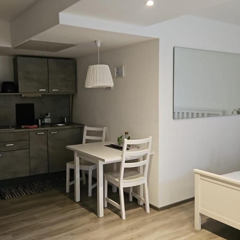 Innsbruck Apartment Nigler - Appartamento Monolocale im Garten - 17