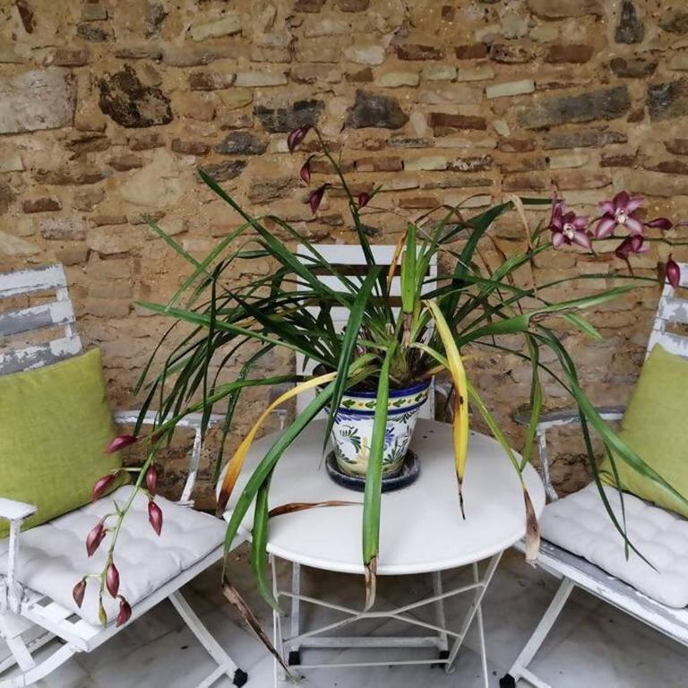 Apartamento El Ancla, Wifi Parking Aire A. - Apartamento de 2 dormitorios - 10