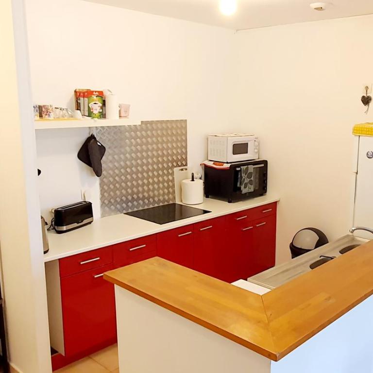 The TRIBE- Superbe duplex standing 8 places - Appartement - 4
