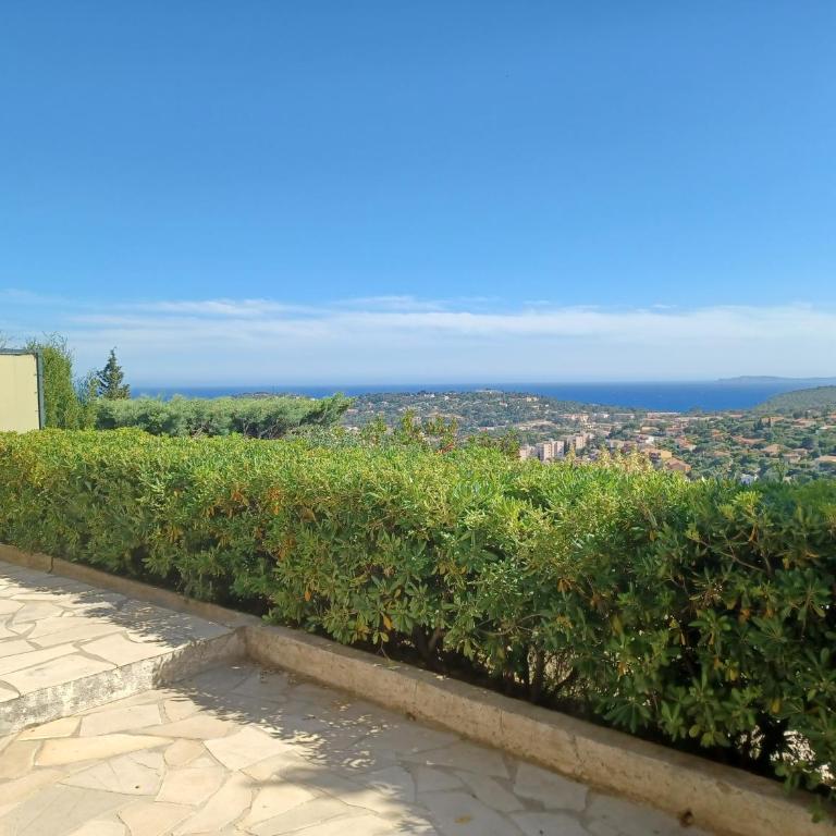 APPARTEMENT REZ DE JARDIN DANS VILLA VUE MER - Apartamento de 1 dormitorio - 12