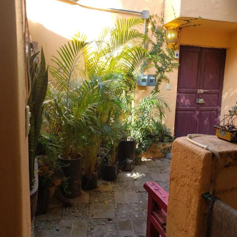 La Pajarera prime location in San Miguel - Apartamento - 10