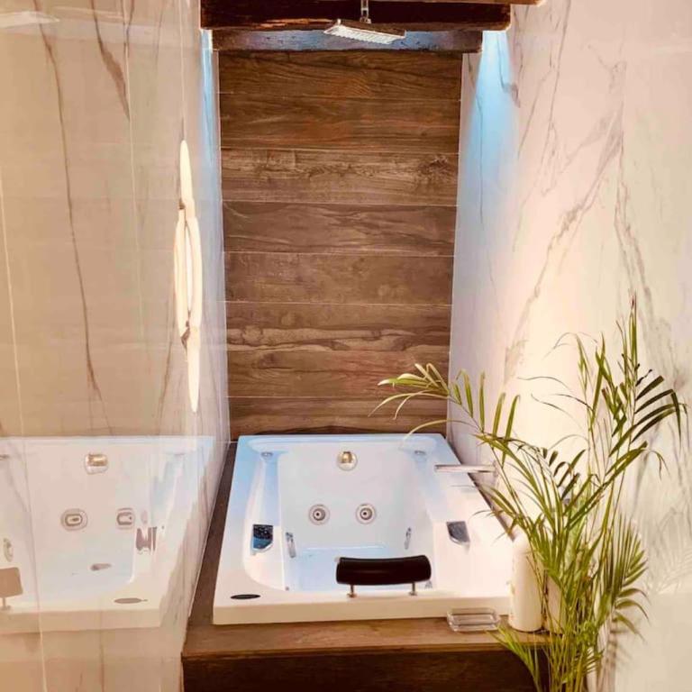 La Pajarera prime location in San Miguel - Apartamento - 25